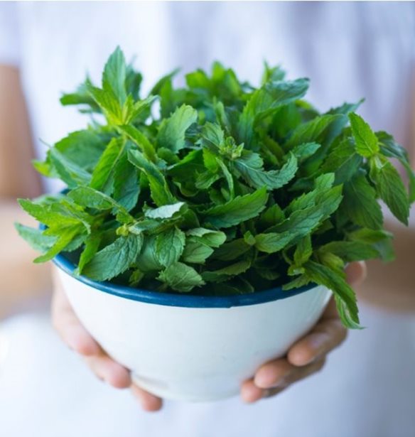 Πώς τα μυρωδικά θα σε βοηθήσουν στο αδυνάτισμα; Οι 7 καλύτερες επιλογές