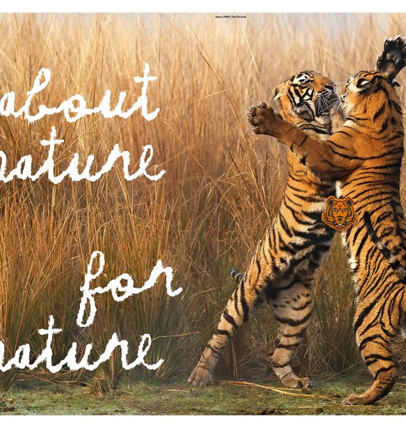 &#x39F; &#x3BF;&#x3AF;&#x3BA;&#x3BF;&#x3C2; Kenzo &#x3C3;&#x3C5;&#x3BD;&#x3B5;&#x3C1;&#x3B3;&#x3AC;&#x3B6;&#x3B5;&#x3C4;&#x3B1;&#x3B9; &#x3BC;&#x3B5; &#x3C4;&#x3B7; WWF