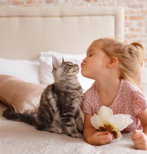 7 tips &#x3B3;&#x3B9;&#x3B1; &#x3BD;&#x3B1; &#x3BA;&#x3B1;&#x3BB;&#x3BB;&#x3B9;&#x3B5;&#x3C1;&#x3B3;&#x3AE;&#x3C3;&#x3BF;&#x3C5;&#x3BC;&#x3B5; &#x3C4;&#x3B7;&#x3BD; &#x3B5;&#x3BD;&#x3C3;&#x3C5;&#x3BD;&#x3B1;&#x3AF;&#x3C3;&#x3B8;&#x3B7;&#x3C3;&#x3B7; &#x3C3;&#x3C4;&#x3B1; &#x3C0;&#x3B1;&#x3B9;&#x3B4;&#x3B9;&#x3AC;
