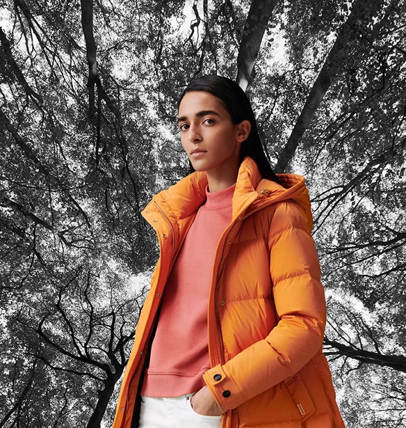 T&#x3BF; brand &#x3C0;&#x3BF;&#x3C5; &#x3C5;&#x3C0;&#x3CC;&#x3C3;&#x3C7;&#x3B5;&#x3C4;&#x3B1;&#x3B9; &#x3C4;&#x3AD;&#x3BB;&#x3B5;&#x3B9;&#x3BF; &#x3C3;&#x3C4;&#x3B9;&#x3BB; &#x3C3;&#x3C4;&#x3B9;&#x3C2; &#x3C7;&#x3B1;&#x3BC;&#x3B7;&#x3BB;&#x3AD;&#x3C2; &#x3B8;&#x3B5;&#x3C1;&#x3BC;&#x3BF;&#x3BA;&#x3C1;&#x3B1;&#x3C3;&#x3AF;&#x3B5;&#x3C2; &#x3AD;&#x3C1;&#x3C7;&#x3B5;&#x3C4;&#x3B1;&#x3B9; &#x3C3;&#x3C4;&#x3B7;&#x3BD; &#x395;&#x3BB;&#x3BB;&#x3AC;&#x3B4;&#x3B1;