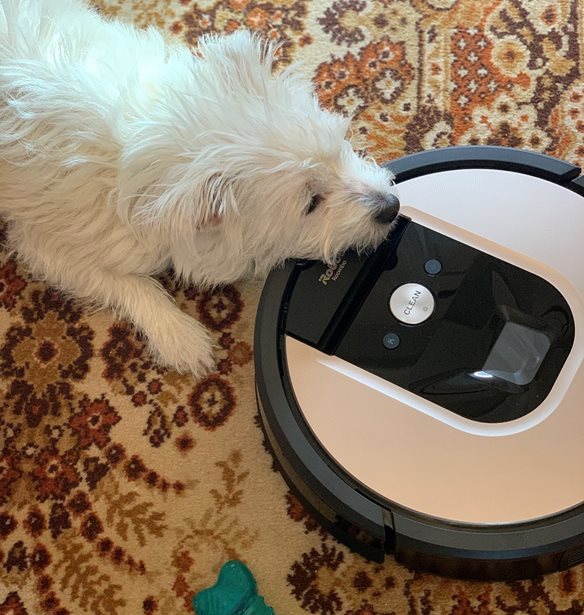 &#x397; &#x3B6;&#x3C9;&#x3AE; &#x3BC;&#x3BF;&#x3C5; &#x3BC;&#x3B5; &#x3C4;&#x3B7;&#x3BD; iRobot