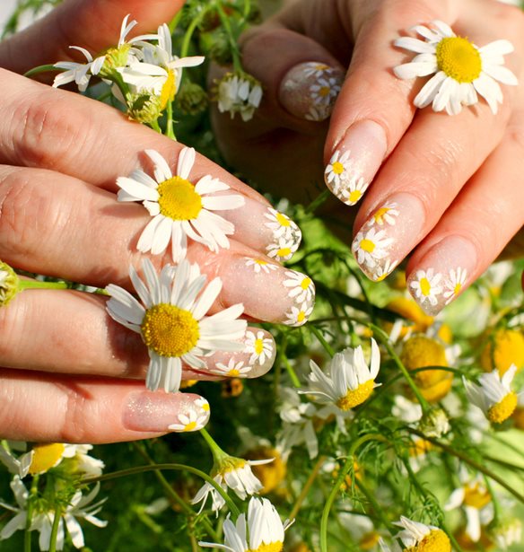 Daisy Nail Art |  &#x3A0;&#x3C1;&#x3BF;&#x3B2;&#x3BB;&#x3AD;&#x3C0;&#x3B5;&#x3C4;&#x3B1;&#x3B9; &#x3BD;&#x3B1; &#x3B3;&#x3AF;&#x3BD;&#x3B5;&#x3B9; &#x3C4;&#x3BF; &#x3B1;&#x3B3;&#x3B1;&#x3C0;&#x3B7;&#x3BC;&#x3AD;&#x3BD;&#x3BF; &#x3BC;&#x3B1;&#x3C2; &#x3BC;&#x3B1;&#x3BD;&#x3B9;&#x3BA;&#x3B9;&#x3BF;&#x3CD;&#x3C1; &#x3C6;&#x3AD;&#x3C4;&#x3BF;&#x3C2;