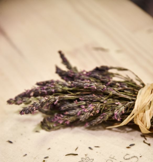 Detox με σύμμαχο τη φύση: Τα καλύτερα βότανα για τον οργανισμό σου