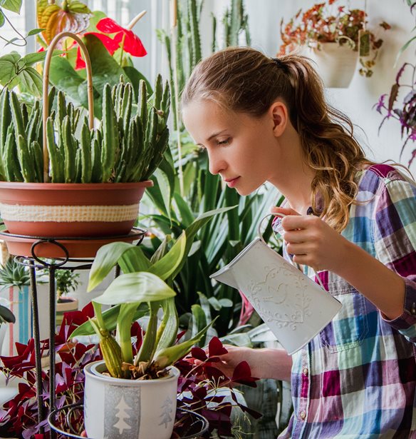 4 &#x3C4;&#x3C1;&#x3CC;&#x3C0;&#x3BF;&#x3B9; &#x3B3;&#x3B9;&#x3B1; &#x3BD;&#x3B1; &#x3C6;&#x3C1;&#x3BF;&#x3BD;&#x3C4;&#x3AF;&#x3C3;&#x3B5;&#x3B9;&#x3C2; &#x3C4;&#x3B1; &#x3C6;&#x3C5;&#x3C4;&#x3AC; &#x3C3;&#x3BF;&#x3C5;