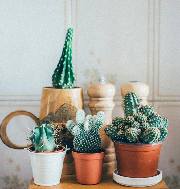 &#x3A4;&#x3B1; hot trends &#x3C3;&#x3C4;&#x3B7; &#x3B4;&#x3B9;&#x3B1;&#x3BA;&#x3CC;&#x3C3;&#x3BC;&#x3B7;&#x3C3;&#x3B7; &#x3C3;&#x3C0;&#x3B9;&#x3C4;&#x3B9;&#x3BF;&#x3CD; &#x3B1;&#x3C0;&#x3CC; &#x3C4;&#x3BF; Instagram