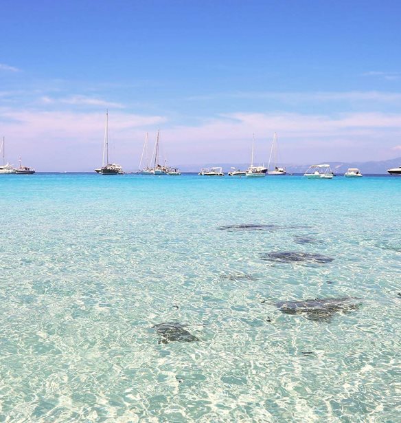 &#x39F;&#x3B9; &#x3A0;&#x3B1;&#x3BE;&#x3BF;&#x3AF; &#x3B5;&#x3AF;&#x3BD;&#x3B1;&#x3B9; &#x3C4;&#x3BF; &#x3C0;&#x3C1;&#x3B1;&#x3B3;&#x3BC;&#x3B1;&#x3C4;&#x3B9;&#x3BA;&#x3CC; &#x3B4;&#x3B9;&#x3B1;&#x3BC;&#x3AC;&#x3BD;&#x3C4;&#x3B9; &#x3C4;&#x3BF;&#x3C5; &#x399;&#x3BF;&#x3BD;&#x3AF;&#x3BF;&#x3C5;