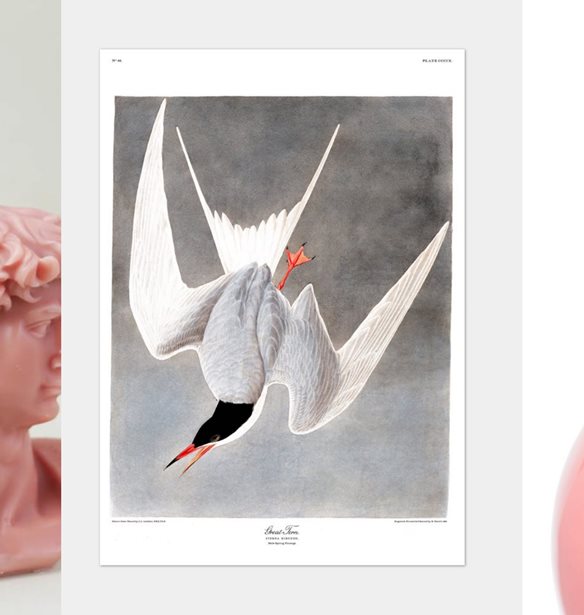 11 statement &#x3B1;&#x3BD;&#x3C4;&#x3B9;&#x3BA;&#x3B5;&#x3AF;&#x3BC;&#x3B5;&#x3BD;&#x3B1; &#x3B3;&#x3B9;&#x3B1; &#x3BD;&#x3B1; &#x3B4;&#x3B9;&#x3B1;&#x3BA;&#x3BF;&#x3C3;&#x3BC;&#x3AE;&#x3C3;&#x3B5;&#x3B9;&#x3C2; &#x3C4;&#x3BF; &#x3C3;&#x3C0;&#x3AF;&#x3C4;&#x3B9; &#x3C3;&#x3BF;&#x3C5;