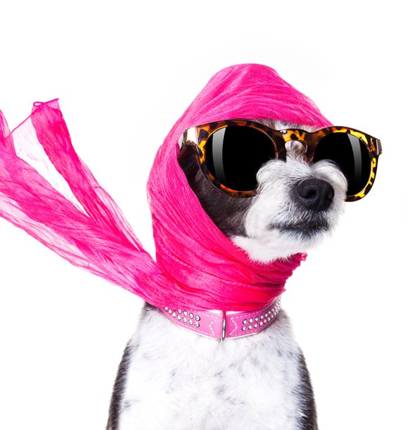 &#x39F;&#x3B9;&#x2026; &#x3C4;&#x3B5;&#x3C4;&#x3C1;&#x3AC;&#x3C0;&#x3BF;&#x3B4;&#x3BF;&#x3B9; influencers &#x3C0;&#x3BF;&#x3C5; &#x3B1;&#x3BE;&#x3AF;&#x3B6;&#x3B5;&#x3B9; &#x3BD;&#x3B1; &#x3B1;&#x3BA;&#x3BF;&#x3BB;&#x3BF;&#x3C5;&#x3B8;&#x3B5;&#x3AF;&#x3C2; &#x3C3;&#x3C4;&#x3BF; Instagram