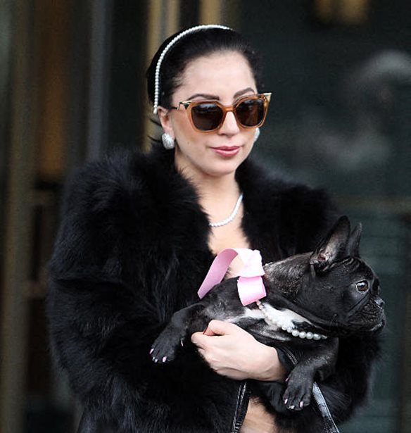 Lady Gaga | &#x394;&#x3B7;&#x3BB;&#x3CE;&#x3BD;&#x3B5;&#x3B9; &#x3AD;&#x3C4;&#x3BF;&#x3B9;&#x3BC;&#x3B7; &#x3B3;&#x3B9;&#x3B1; &#x3B3;&#x3AC;&#x3BC;&#x3BF;