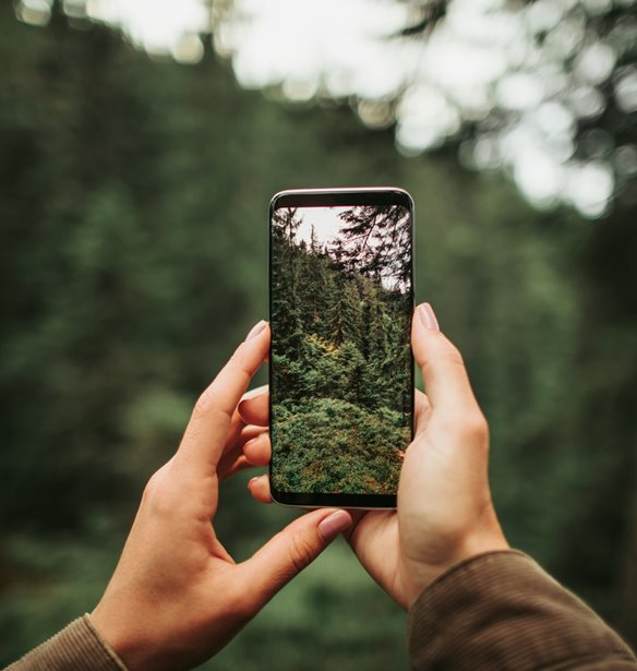 &#x39C;&#x3B5;&#x3C4;&#x3B1;&#x3BC;&#x3CC;&#x3C1;&#x3C6;&#x3C9;&#x3C3;&#x3B5; &#x3C4;&#x3B9;&#x3C2; &#x3C6;&#x3C9;&#x3C4;&#x3BF;&#x3B3;&#x3C1;&#x3B1;&#x3C6;&#x3AF;&#x3B5;&#x3C2; &#x3C3;&#x3BF;&#x3C5; &#x3C3;&#x3C4;&#x3BF; &#x3C3;&#x3C4;&#x3C5;&#x3BB; &#x3B5;&#x3BD;&#x3CC;&#x3C2; &#x3B8;&#x3C1;&#x3C5;&#x3BB;&#x3B9;&#x3BA;&#x3BF;&#x3CD; &#x3BA;&#x3B1;&#x3BB;&#x3BB;&#x3B9;&#x3C4;&#x3AD;&#x3C7;&#x3BD;&#x3B7;