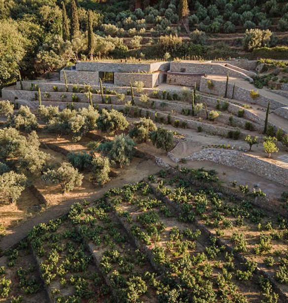 &#x395;&#x3C0;&#x3B9;&#x3C3;&#x3BA;&#x3B5;&#x3C6;&#x3C4;&#x3AE;&#x3BA;&#x3B1;&#x3BC;&#x3B5; &#x3C4;&#x3BF; LIKNON, &#x3C4;&#x3BF; &#x3BD;&#x3AD;&#x3BF; &quot;&#x3C3;&#x3C0;&#x3AF;&#x3C4;&#x3B9;&quot; &#x3C4;&#x3BF;&#x3C5; &#x39C;&#x395;&#x3A4;&#x391;&#x3A7;&#x391; &#x3C3;&#x3C4;&#x3B7; &#x3A3;&#x3AC;&#x3BC;&#x3BF;