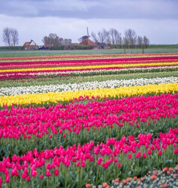 &#x3A4;&#x3B1; &#x3BB;&#x3B9;&#x3B2;&#x3AC;&#x3B4;&#x3B9;&#x3B1; &#x3BC;&#x3B5; &#x3C4;&#x3BF;&#x3C5;&#x3BB;&#x3AF;&#x3C0;&#x3B5;&#x3C2; &#x3B5;&#x3AF;&#x3BD;&#x3B1;&#x3B9; &#x3CC;,&#x3C4;&#x3B9; &#x3C0;&#x3B9;&#x3BF; &#x3CC;&#x3BC;&#x3BF;&#x3C1;&#x3C6;&#x3BF; &#x3B8;&#x3B1; &#x3B4;&#x3B5;&#x3B9;&#x3C2; &#x3C4;&#x3B7;&#x3BD; &#x3AC;&#x3BD;&#x3BF;&#x3B9;&#x3BE;&#x3B7;