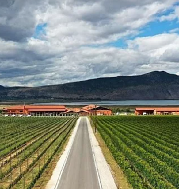 &#x3A4;&#x3C1;&#x3AF;&#x3B1; &#x3B5;&#x3BB;&#x3BB;&#x3B7;&#x3BD;&#x3B9;&#x3BA;&#x3AC; &#x3BF;&#x3B9;&#x3BD;&#x3BF;&#x3C0;&#x3BF;&#x3B9;&#x3B5;&#x3AF;&#x3B1; &#x3C3;&#x3C4;&#x3B1; &#x3BA;&#x3B1;&#x3BB;&#x3CD;&#x3C4;&#x3B5;&#x3C1;&#x3B1; &#x3C4;&#x3BF;&#x3C5; &#x3BA;&#x3CC;&#x3C3;&#x3BC;&#x3BF;&#x3C5; &#x3B3;&#x3B9;&#x3B1; &#x3C4;&#x3BF; 2022