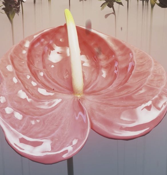 Like wildflowers in the cracks | 8 κινηματογραφικά έργα παρουσιάζονται στο Ίδρυμα Β. &amp; Μ. Θεοχαράκη