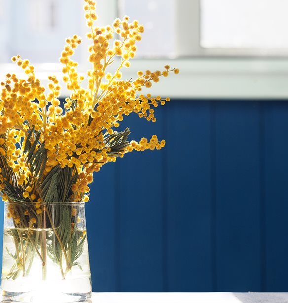 &#x39E;&#x3B5;&#x3C7;&#x3C9;&#x3C1;&#x3B9;&#x3C3;&#x3C4;&#x3AC; &#x3BE;&#x3B5;&#x3BD;&#x3BF;&#x3B4;&#x3BF;&#x3C7;&#x3B5;&#x3AF;&#x3B1; &#x3BA;&#x3B1;&#x3B9; &#x3B5;&#x3C3;&#x3C4;&#x3B9;&#x3B1;&#x3C4;&#x3CC;&#x3C1;&#x3B9;&#x3B1; &#x3C3;&#x3C4;&#x3BF;&#x3C5;&#x3C2; &#x3C0;&#x3B9;&#x3BF; &#x3B1;&#x3B3;&#x3B1;&#x3C0;&#x3B7;&#x3BC;&#x3AD;&#x3BD;&#x3BF;&#x3C5;&#x3C2; &#x3C0;&#x3B1;&#x3C3;&#x3C7;&#x3B1;&#x3BB;&#x3B9;&#x3BD;&#x3BF;&#x3CD;&#x3C2; &#x3C0;&#x3C1;&#x3BF;&#x3BF;&#x3C1;&#x3B9;&#x3C3;&#x3BC;&#x3BF;&#x3CD;&#x3C2;