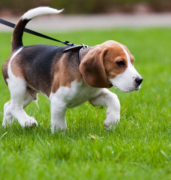 &#x3A4;&#x3B1; &#x3BF;&#x3C6;&#x3AD;&#x3BB;&#x3B7; &#x3C4;&#x3BF;&#x3C5; &#x3BD;&#x3B1; &#x3BA;&#x3BF;&#x3B9;&#x3BC;&#x3AC;&#x3C3;&#x3B1;&#x3B9; &#x3BC;&#x3B1;&#x3B6;&#x3AF; &#x3BC;&#x3B5; &#x3C4;&#x3BF;&#x3BD; &#x3C3;&#x3BA;&#x3CD;&#x3BB;&#x3BF; &#x3C3;&#x3BF;&#x3C5;