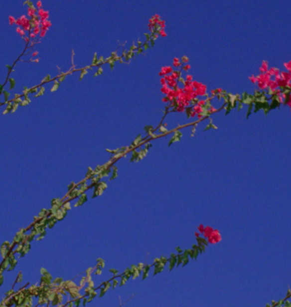 Ο οίκος Chanel θα παρουσιάσει το πρώτο του virtual fashion show