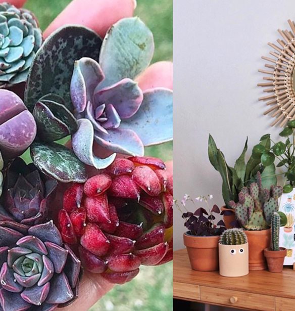 8 instagram &#x3BB;&#x3BF;&#x3B3;&#x3B1;&#x3C1;&#x3B9;&#x3B1;&#x3C3;&#x3BC;&#x3BF;&#x3AF; &#x3B3;&#x3B9;&#x3B1; &#x3B5;&#x3C3;&#x3AD;&#x3BD;&#x3B1; &#x3C0;&#x3BF;&#x3C5; &#x3BB;&#x3B1;&#x3C4;&#x3C1;&#x3B5;&#x3CD;&#x3B5;&#x3B9;&#x3C2; &#x3C4;&#x3B1; &#x3C6;&#x3C5;&#x3C4;&#x3AC;!