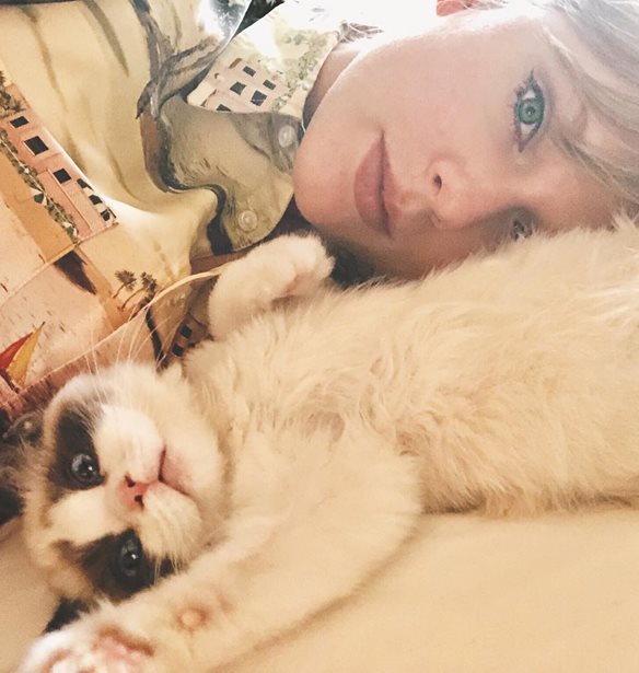 &#x397; Taylor Swift &#x3AD;&#x3C7;&#x3B5;&#x3B9; &#x3C4;&#x3B9;&#x3C2; &#x3C0;&#x3B9;&#x3BF; &#x3B4;&#x3B9;&#x3AC;&#x3C3;&#x3B7;&#x3BC;&#x3B5;&#x3C2; &#x3B3;&#x3AC;&#x3C4;&#x3B5;&#x3C2; &#x3C4;&#x3BF;&#x3C5; Instagram