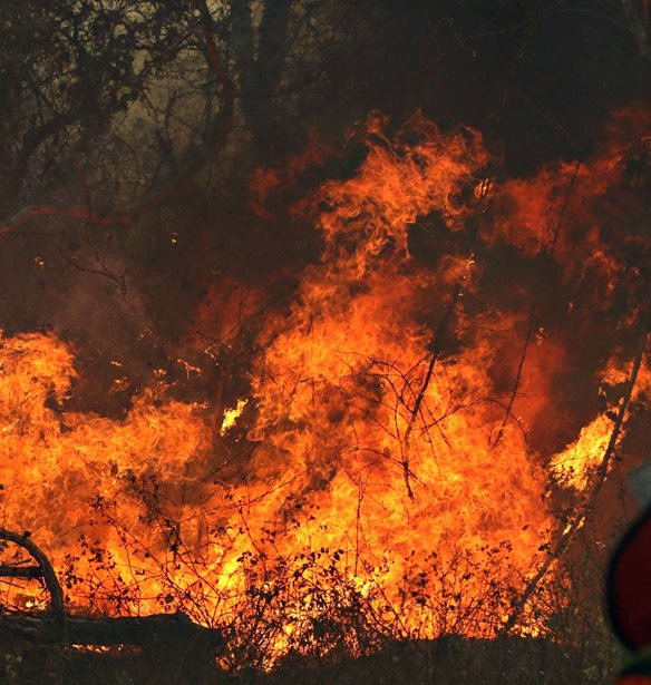 O A&#x3BC;&#x3B1;&#x3B6;&#x3CC;&#x3BD;&#x3B9;&#x3BF;&#x3C2; &#x3C6;&#x3BB;&#x3AD;&#x3B3;&#x3B5;&#x3C4;&#x3B1;&#x3B9;