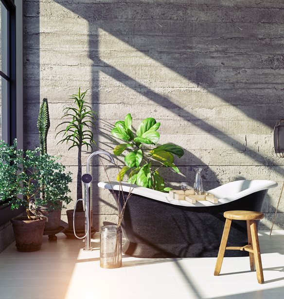 15 bathroom essentials &#x3B3;&#x3B9;&#x3B1; &#x3BD;&#x3B1; &#x3B5;&#x3BE;&#x3BF;&#x3C0;&#x3BB;&#x3AF;&#x3C3;&#x3B5;&#x3B9;&#x3C2; &#x3C4;&#x3BF; &#x3BC;&#x3C0;&#x3AC;&#x3BD;&#x3B9;&#x3BF; &#x3C3;&#x3BF;&#x3C5;