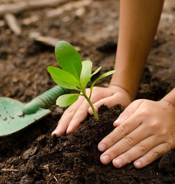 &#x3A6;&#x3B9;&#x3BB;&#x3B9;&#x3C0;&#x3C0;&#x3AF;&#x3BD;&#x3B5;&#x3C2; | &#x39A;&#x3AC;&#x3B8;&#x3B5; &#x3BC;&#x3B1;&#x3B8;&#x3B7;&#x3C4;&#x3AE;&#x3C2; &#x3B8;&#x3B1; &#x3C0;&#x3C1;&#x3AD;&#x3C0;&#x3B5;&#x3B9; &#x3BD;&#x3B1; &#x3C6;&#x3C5;&#x3C4;&#x3B5;&#x3CD;&#x3C3;&#x3B5;&#x3B9; (&#x3C4;&#x3BF;&#x3C5;&#x3BB;&#x3AC;&#x3C7;&#x3B9;&#x3C3;&#x3C4;&#x3BF;&#x3BD;) 10 &#x3B4;&#x3AD;&#x3BD;&#x3C4;&#x3C1;&#x3B1; &#x3B3;&#x3B9;&#x3B1; &#x3BD;&#x3B1; &#x3B1;&#x3C0;&#x3BF;&#x3C6;&#x3BF;&#x3B9;&#x3C4;&#x3AE;&#x3C3;&#x3B5;&#x3B9;!
