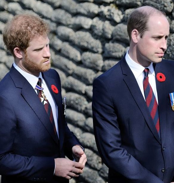 &#x39F;&#x3B9; &#x3C0;&#x3C1;&#x3AF;&#x3B3;&#x3BA;&#x3B9;&#x3C0;&#x3B5;&#x3C2; William &#x3BA;&#x3B1;&#x3B9; Harry &#x3B8;&#x3B1; &#x3B5;&#x3BC;&#x3C6;&#x3B1;&#x3BD;&#x3B9;&#x3C3;&#x3C4;&#x3BF;&#x3CD;&#x3BD; &#x3C3;&#x3B5; &#x3B4;&#x3CD;&#x3BF; &#x3BD;&#x3C4;&#x3BF;&#x3BA;&#x3C5;&#x3BC;&#x3B1;&#x3BD;&#x3C4;&#x3AD;&#x3C1; &#x3B3;&#x3B9;&#x3B1; &#x3C4;&#x3B7;&#x3BD; Diana