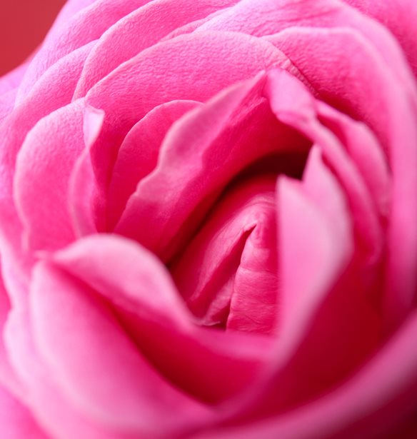 10 πράγματα που δεν γνωρίζεις για τον γυναικείο κόλπο