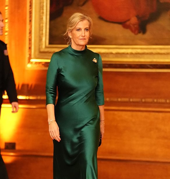 H μονομαχία της καρφίτσας | Το κρυφό νόημα πίσω από τα κοσμήματα της βασίλισσας Καμίλα και της Sophie του Εδιμβούργου