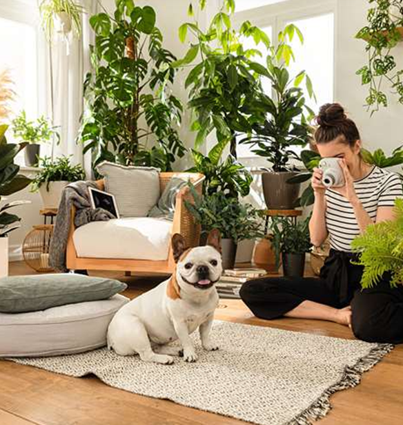 &#x3A0;&#x3CE;&#x3C2; &#x3B8;&#x3B1; &#x3BC;&#x3B5;&#x3C4;&#x3B1;&#x3C4;&#x3C1;&#x3AD;&#x3C8;&#x3B5;&#x3B9;&#x3C2; &#x3C4;&#x3BF; &#x3C7;&#x3CE;&#x3C1;&#x3BF; &#x3C3;&#x3BF;&#x3C5; &#x3C3;&#x3B5; &#x3C0;&#x3C1;&#x3AC;&#x3C3;&#x3B9;&#x3BD;&#x3B7; &#x3CC;&#x3B1;&#x3C3;&#x3B7;