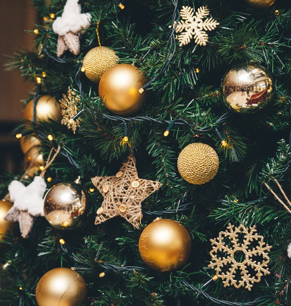 14 &#x3C0;&#x3C1;&#x3C9;&#x3C4;&#x3CC;&#x3C4;&#x3C5;&#x3C0;&#x3B5;&#x3C2; &#x3B9;&#x3B4;&#x3AD;&#x3B5;&#x3C2; &#x3B3;&#x3B9;&#x3B1; &#x3BD;&#x3B1; &#x3C3;&#x3C4;&#x3BF;&#x3BB;&#x3AF;&#x3C3;&#x3B5;&#x3B9;&#x3C2; &#x3C4;&#x3BF; &#x3C7;&#x3C1;&#x3B9;&#x3C3;&#x3C4;&#x3BF;&#x3C5;&#x3B3;&#x3B5;&#x3BD;&#x3BD;&#x3B9;&#x3AC;&#x3C4;&#x3B9;&#x3BA;&#x3BF; &#x3B4;&#x3AD;&#x3BD;&#x3C4;&#x3C1;&#x3BF;