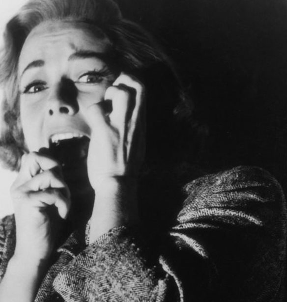 Halloween | &#x391;&#x3C5;&#x3C4;&#x3AE; &#x3B5;&#x3AF;&#x3BD;&#x3B1;&#x3B9; &#x3B7; &#x3C0;&#x3B9;&#x3BF; &#x3C4;&#x3C1;&#x3BF;&#x3BC;&#x3B1;&#x3BA;&#x3C4;&#x3B9;&#x3BA;&#x3AE; &#x3C4;&#x3B1;&#x3B9;&#x3BD;&#x3AF;&#x3B1; &#x3CC;&#x3BB;&#x3C9;&#x3BD; &#x3C4;&#x3C9;&#x3BD; &#x3B5;&#x3C0;&#x3BF;&#x3C7;&#x3CE;&#x3BD; &#x3C3;&#x3CD;&#x3BC;&#x3C6;&#x3C9;&#x3BD;&#x3B1; &#x3BC;&#x3B5; &#x3AD;&#x3C1;&#x3B5;&#x3C5;&#x3BD;&#x3B1;