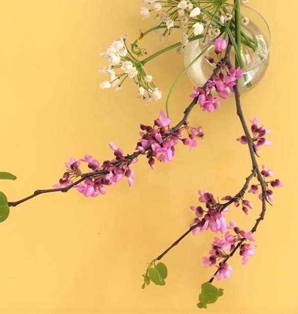 &#x39F; &#x393;&#x3B9;&#x3AC;&#x3BD;&#x3BD;&#x3B7;&#x3C2; &#x3A3;&#x3B5;&#x3C1;&#x3B3;&#x3AC;&#x3BA;&#x3B7;&#x3C2; &#x3C3;&#x3C4;&#x3AD;&#x3BB;&#x3BD;&#x3B5;&#x3B9; &#x3C4;&#x3BF; &#x3B4;&#x3B9;&#x3BA;&#x3CC; &#x3C4;&#x3BF;&#x3C5; &#x3BC;&#x3AE;&#x3BD;&#x3C5;&#x3BC;&#x3B1; &#x3B3;&#x3B9;&#x3B1; &#x3C4;&#x3BF;&#x3BD; &#x3BA;&#x3BF;&#x3C1;&#x3C9;&#x3BD;&#x3BF;&#x3CA;&#x3CC;