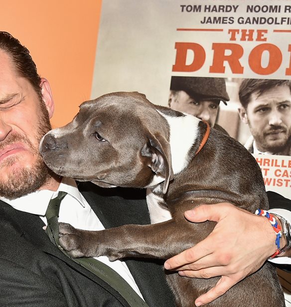 &#x39F; Tom Hardy &#x3BA;&#x3AC;&#x3BD;&#x3B5;&#x3B9; &#x3C6;&#x3C9;&#x3BD;&#x3AE; Bane &#x3C3;&#x3C4;&#x3BF;&#x3BD; &#x3C3;&#x3BA;&#x3CD;&#x3BB;&#x3BF; &#x3C4;&#x3BF;&#x3C5;, &#x3C4;&#x3BF; &#x3AF;&#x3BD;&#x3C4;&#x3B5;&#x3C1;&#x3BD;&#x3B5;&#x3C4; &#x3C4;&#x3C1;&#x3B5;&#x3BB;&#x3B1;&#x3AF;&#x3BD;&#x3B5;&#x3C4;&#x3B1;&#x3B9;