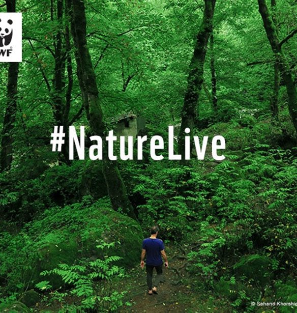 &#x39F; &#x393;&#x3B9;&#x3CE;&#x3C1;&#x3B3;&#x3BF;&#x3C2; &#x3A0;&#x3C5;&#x3C1;&#x3C0;&#x3B1;&#x3C3;&#x3CC;&#x3C0;&#x3BF;&#x3C5;&#x3BB;&#x3BF;&#x3C2; &#x3BC;&#x3B9;&#x3BB;&#x3AC;&#x3B5;&#x3B9; &#x3B3;&#x3B9;&#x3B1; &#x3C4;&#x3B7;&#x3BD; &#x3A0;&#x3B1;&#x3B3;&#x3BA;&#x3CC;&#x3C3;&#x3BC;&#x3B9;&#x3B1; &#x397;&#x3BC;&#x3AD;&#x3C1;&#x3B1; &#x393;&#x3B7;&#x3C2; live &#x3C3;&#x3C4;&#x3BF; Instagram