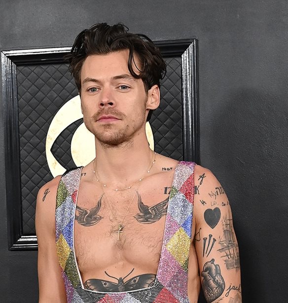 Harry Styles | &#x39F;&#x3B9; &#x3B1;&#x3BD;&#x3C4;&#x3B9;&#x3B4;&#x3C1;&#x3AC;&#x3C3;&#x3B5;&#x3B9;&#x3C2; &#x3C3;&#x3C4;&#x3B1; social media &#x3CD;&#x3C3;&#x3C4;&#x3B5;&#x3C1;&#x3B1; &#x3B1;&#x3C0;&#x3CC; &#x3C4;&#x3BF;&#x3BD; &#x3B1;&#x3BC;&#x3C6;&#x3B9;&#x3BB;&#x3B5;&#x3B3;&#x3CC;&#x3BC;&#x3B5;&#x3BD;&#x3BF; &#x3B5;&#x3C5;&#x3C7;&#x3B1;&#x3C1;&#x3B9;&#x3C3;&#x3C4;&#x3AE;&#x3C1;&#x3B9;&#x3BF; &#x3BB;&#x3CC;&#x3B3;&#x3BF; &#x3C4;&#x3BF;&#x3C5; &#x3C3;&#x3C4;&#x3B1; Grammy