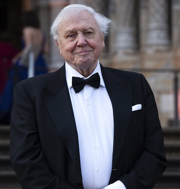 To &#x3B4;&#x3C1;&#x3B9;&#x3BC;&#x3CD; &#x3BA;&#x3B1;&#x3C4;&#x3B7;&#x3B3;&#x3BF;&#x3C1;&#x3CE; &#x3C4;&#x3BF;&#x3C5; David Attenborough &#x3B3;&#x3B9;&#x3B1; &#x3C4;&#x3B7;&#x3BD; &#x3BA;&#x3B1;&#x3C4;&#x3B1;&#x3C3;&#x3C4;&#x3C1;&#x3BF;&#x3C6;&#x3AE; &#x3C4;&#x3BF;&#x3C5; &#x3C0;&#x3BB;&#x3B1;&#x3BD;&#x3AE;&#x3C4;&#x3B7;