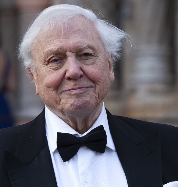 &#x39F; &#x3C3;&#x3B5;&#x3C1; David Attenborough &#x3C5;&#x3C0;&#x3BF;&#x3C8;&#x3AE;&#x3C6;&#x3B9;&#x3BF;&#x3C2; &#x3B3;&#x3B9;&#x3B1; &#x39D;&#x3CC;&#x3BC;&#x3C0;&#x3B5;&#x3BB; &#x395;&#x3B9;&#x3C1;&#x3AE;&#x3BD;&#x3B7;&#x3C2;