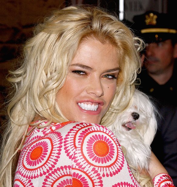 &#x397; Anna Nicole Smith &#x3BA;&#x3C5;&#x3BD;&#x3AE;&#x3B3;&#x3B7;&#x3C3;&#x3B5; &#x3BC;&#x3AD;&#x3C7;&#x3C1;&#x3B9; &#x3B8;&#x3B1;&#x3BD;&#x3AC;&#x3C4;&#x3BF;&#x3C5; &#x3C4;&#x3BF; American Dream