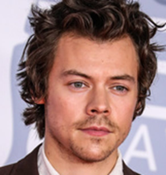 Harry Styles | &#x3A0;&#x3BF;&#x3B9;&#x3B1; &#x3B4;&#x3B9;&#x3AC;&#x3C3;&#x3B7;&#x3BC;&#x3B7; &#x3B7;&#x3B8;&#x3BF;&#x3C0;&#x3BF;&#x3B9;&#x3CC; &#x3C6;&#x3AF;&#x3BB;&#x3B7;&#x3C3;&#x3B5; (hint: &#x3B4;&#x3B5;&#x3BD; &#x3B5;&#x3AF;&#x3BD;&#x3B1;&#x3B9; &#x3B7; Olivia Wilde)