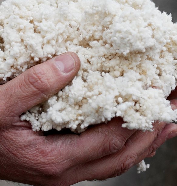 &#x393;&#x3B9;&#x3B1; &#x3C0;&#x3C1;&#x3CE;&#x3C4;&#x3B7; &#x3C6;&#x3BF;&#x3C1;&#x3AC; &#x3B2;&#x3C1;&#x3B1;&#x3B2;&#x3B5;&#x3CD;&#x3B5;&#x3C4;&#x3B1;&#x3B9; &#x3B5;&#x3BB;&#x3BB;&#x3B7;&#x3BD;&#x3B9;&#x3BA;&#x3AE; &#x3C3;&#x3C5;&#x3BC;&#x3BC;&#x3B5;&#x3C4;&#x3BF;&#x3C7;&#x3AE; &#x3B1;&#x3C0;&#x3CC; &#x3C4;&#x3BF;&#x3BD; &#x3C0;&#x3B1;&#x3B3;&#x3BA;&#x3BF;&#x3C3;&#x3BC;&#x3AF;&#x3BF;&#x3C5; &#x3BA;&#x3CD;&#x3C1;&#x3BF;&#x3C5;&#x3C2; &#x3B8;&#x3B5;&#x3C3;&#x3BC;&#x3CC; &#x3C4;&#x3BF;&#x3C5; design &#x3C4;&#x3B7;&#x3C2; Maison&amp;Objet