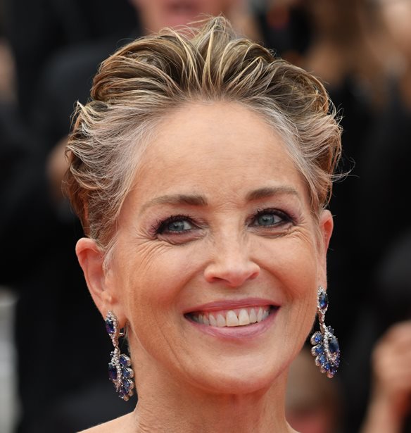 &#x397; Sharon Stone &#x3C8;&#x3AC;&#x3C7;&#x3BD;&#x3B5;&#x3B9; &#x3C4;&#x3BF;&#x3BD; &#x3B5;&#x3C0;&#x3CC;&#x3BC;&#x3B5;&#x3BD;&#x3BF; &#x3AD;&#x3C1;&#x3C9;&#x3C4;&#x3AC; &#x3C4;&#x3B7;&#x3C2; &#x3C3;&#x3C4;&#x3BF; Tinder
