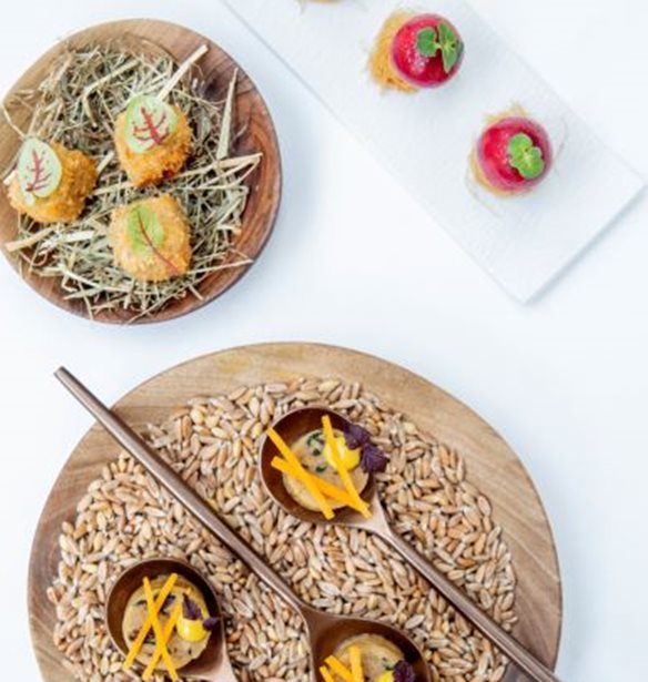 &quot;45 &#x3C3;&#x3C5;&#x3BD;&#x3C4;&#x3B1;&#x3B3;&#x3AD;&#x3C2; &#x3B1;&#x3C0;&#x3CC; &#x3C4;&#x3B7;&#x3BD; &#x395;&#x3BB;&#x3BB;&#x3AC;&#x3B4;&#x3B1;, &#x3C6;&#x3C4;&#x3B9;&#x3B1;&#x3B3;&#x3BC;&#x3AD;&#x3BD;&#x3B5;&#x3C2; &#x3BC;&#x3B5; &#x3B1;&#x3B3;&#x3AC;&#x3C0;&#x3B7;&quot;: &#x3A4;&#x3BF; &#x3B2;&#x3B9;&#x3B2;&#x3BB;&#x3AF;&#x3BF; &#x3C4;&#x3BF;&#x3C5; &#x391;&#x3BD;&#x3B4;&#x3C1;&#x3AD;&#x3B1; &#x39C;&#x3B1;&#x3C5;&#x3C1;&#x3BF;&#x3BC;&#x3BC;&#x3AC;&#x3C4;&#x3B7; &#x3BA;&#x3C5;&#x3BA;&#x3BB;&#x3BF;&#x3C6;&#x3BF;&#x3C1;&#x3B5;&#x3AF; &#x3C3;&#x3C4;&#x3B1; &#x3B5;&#x3BB;&#x3BB;&#x3B7;&#x3BD;&#x3B9;&#x3BA;&#x3AC;