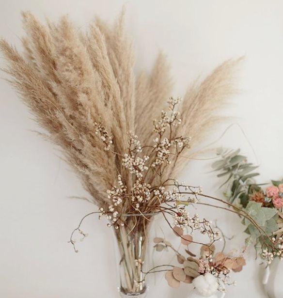 &#x39F;&#x3B9; 3 &#x3C4;&#x3AC;&#x3C3;&#x3B5;&#x3B9;&#x3C2; &#x3C0;&#x3BF;&#x3C5; &#x3BA;&#x3C5;&#x3C1;&#x3B9;&#x3B1;&#x3C1;&#x3C7;&#x3BF;&#x3CD;&#x3BD; &#x3C3;&#x3C4;&#x3B1; &#x3C6;&#x3C5;&#x3C4;&#x3AC; &#x3B5;&#x3C3;&#x3C9;&#x3C4;&#x3B5;&#x3C1;&#x3B9;&#x3BA;&#x3BF;&#x3CD; &#x3C7;&#x3CE;&#x3C1;&#x3BF;&#x3C5;