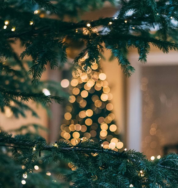 &#x397; &#x3C3;&#x3C9;&#x3C3;&#x3C4;&#x3AE; &#x3C3;&#x3B5;&#x3B9;&#x3C1;&#x3AC; &#x3B3;&#x3B9;&#x3B1; &#x3BD;&#x3B1; &#x3C3;&#x3C4;&#x3BF;&#x3BB;&#x3AF;&#x3C3;&#x3B5;&#x3B9;&#x3C2; &#x3C4;&#x3BF; &#x3C7;&#x3C1;&#x3B9;&#x3C3;&#x3C4;&#x3BF;&#x3C5;&#x3B3;&#x3B5;&#x3BD;&#x3BD;&#x3B9;&#x3AC;&#x3C4;&#x3B9;&#x3BA;&#x3BF; &#x3B4;&#x3AD;&#x3BD;&#x3C4;&#x3C1;&#x3BF; &#x3C3;&#x3B1;&#x3BD; expert