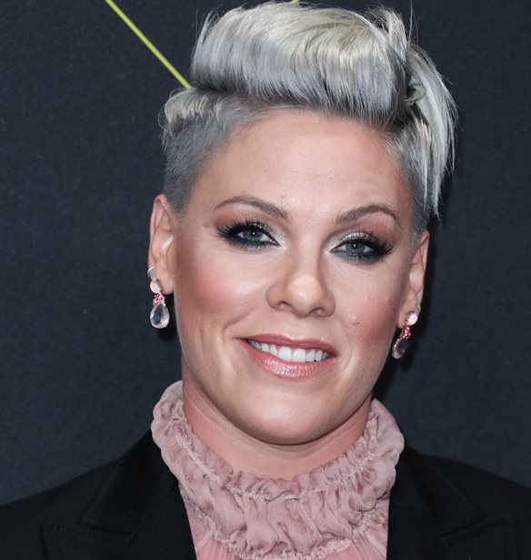 Pink | H &#x3C5;&#x3C0;&#x3BF;&#x3C3;&#x3C4;&#x3AE;&#x3C1;&#x3B9;&#x3BE;&#x3AE; &#x3C4;&#x3B7;&#x3C2; &#x3C3;&#x3C4;&#x3B7;&#x3BD; &#x3BD;&#x3BF;&#x3C1;&#x3B2;&#x3B7;&#x3B3;&#x3B9;&#x3BA;&#x3AE; &#x3BF;&#x3BC;&#x3AC;&#x3B4;&#x3B1; &#x3C7;&#x3AC;&#x3BD;&#x3C4;&#x3BC;&#x3C0;&#x3BF;&#x3BB; &#x3BC;&#x3B5;&#x3C4;&#x3AC; &#x3C4;&#x3BF; &quot;&#x3C3;&#x3B5;&#x3BE;&#x3B9;&#x3C3;&#x3C4;&#x3B9;&#x3BA;&#x3CC;&quot; &#x3C0;&#x3C1;&#x3CC;&#x3C3;&#x3C4;&#x3B9;&#x3BC;&#x3BF;