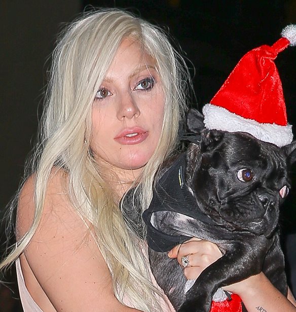 Lady Gaga | &#x3A4;&#x3BF; &#x3B4;&#x3B9;&#x3BA;&#x3B1;&#x3C3;&#x3C4;&#x3AE;&#x3C1;&#x3B9;&#x3BF; &#x3B5;&#x3C0;&#x3AD;&#x3B2;&#x3B1;&#x3BB;&#x3BB;&#x3B5; 21 &#x3AD;&#x3C4;&#x3B7; &#x3C6;&#x3C5;&#x3BB;&#x3AC;&#x3BA;&#x3B9;&#x3C3;&#x3B7;&#x3C2; &#x3C3;&#x3C4;&#x3BF;&#x3BD; &#x3B1;&#x3C0;&#x3B1;&#x3B3;&#x3C9;&#x3B3;&#x3AD;&#x3B1; &#x3C4;&#x3C9;&#x3BD; &#x3C3;&#x3BA;&#x3C5;&#x3BB;&#x3B9;&#x3CE;&#x3BD; &#x3C4;&#x3B7;&#x3C2;