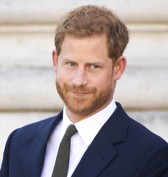 &#x39F; &#x3C0;&#x3C1;&#x3AF;&#x3B3;&#x3BA;&#x3B9;&#x3C0;&#x3B1;&#x3C2; Harry &#x3BA;&#x3C1;&#x3B1;&#x3C4;&#x3AC;&#x3B5;&#x3B9; &#x3C3;&#x3B5; &#x3B1;&#x3C0;&#x3CC;&#x3C3;&#x3C4;&#x3B1;&#x3C3;&#x3B7; &#x3C4;&#x3B7; &#x3B2;&#x3B1;&#x3C3;&#x3B9;&#x3BB;&#x3B9;&#x3BA;&#x3AE; &#x3BF;&#x3B9;&#x3BA;&#x3BF;&#x3B3;&#x3AD;&#x3BD;&#x3B5;&#x3B9;&#x3B1; &#x3BC;&#x3AD;&#x3C7;&#x3C1;&#x3B9; &#x3C4;&#x3B7;&#x3BD; &#x3BA;&#x3C5;&#x3BA;&#x3BB;&#x3BF;&#x3C6;&#x3BF;&#x3C1;&#x3AF;&#x3B1; &#x3C4;&#x3BF;&#x3C5; &#x3B2;&#x3B9;&#x3B2;&#x3BB;&#x3AF;&#x3BF;&#x3C5; &#x3C4;&#x3BF;&#x3C5;