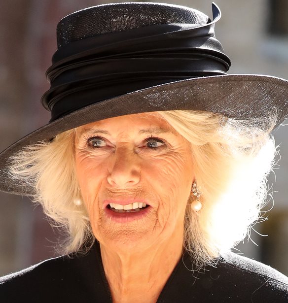 Camilla Parker | &#x3A4;&#x3BF; &#x3C4;&#x3C1;&#x3C5;&#x3C6;&#x3B5;&#x3C1;&#x3CC; &#x3C0;&#x3B1;&#x3C1;&#x3B1;&#x3C4;&#x3C3;&#x3BF;&#x3CD;&#x3BA;&#x3BB;&#x3B9; &#x3C0;&#x3BF;&#x3C5; &#x3C4;&#x3B7;&#x3C2; &#x3AD;&#x3C7;&#x3BF;&#x3C5;&#x3BD; &#x3B2;&#x3B3;&#x3AC;&#x3BB;&#x3B5;&#x3B9; &#x3C4;&#x3B1; &#x3C0;&#x3B1;&#x3B9;&#x3B4;&#x3B9;&#x3AC; &#x3C4;&#x3BF;&#x3C5; William