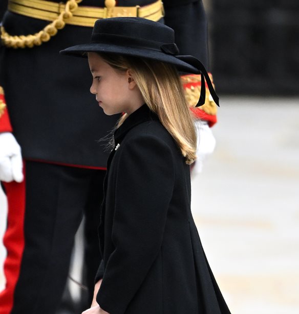 &#x3A0;&#x3C1;&#x3B9;&#x3B3;&#x3BA;&#x3AF;&#x3C0;&#x3B9;&#x3C3;&#x3C3;&#x3B1; Charlotte | &#x3A4;&#x3BF; &#x3BE;&#x3B5;&#x3C7;&#x3C9;&#x3C1;&#x3B9;&#x3C3;&#x3C4;&#x3CC; &#x3BA;&#x3CC;&#x3C3;&#x3BC;&#x3B7;&#x3BC;&#x3B1; &#x3C0;&#x3BF;&#x3C5; &#x3C6;&#x3CC;&#x3C1;&#x3B5;&#x3C3;&#x3B5; &#x3B3;&#x3B9;&#x3B1; &#x3BD;&#x3B1; &#x3C4;&#x3B9;&#x3BC;&#x3AE;&#x3C3;&#x3B5;&#x3B9; &#x3C4;&#x3B7;&#x3BD; &#x3B2;&#x3B1;&#x3C3;&#x3AF;&#x3BB;&#x3B9;&#x3C3;&#x3C3;&#x3B1; &#x395;&#x3BB;&#x3B9;&#x3C3;&#x3AC;&#x3B2;&#x3B5;&#x3C4;